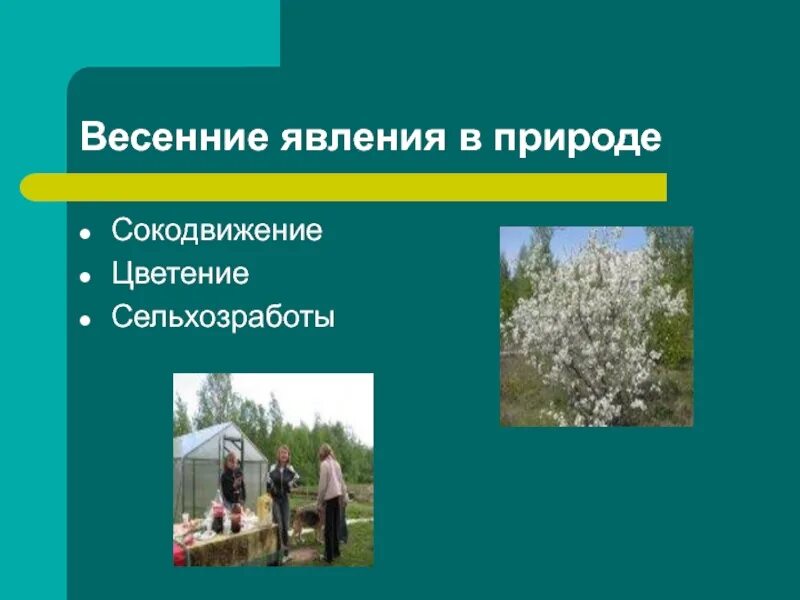 Какие весенние явления природы. Весенние явления природы. Весенние явления в живой природе весной. Весенние явления сообщения. Весенние явления в неживой природе картинки.