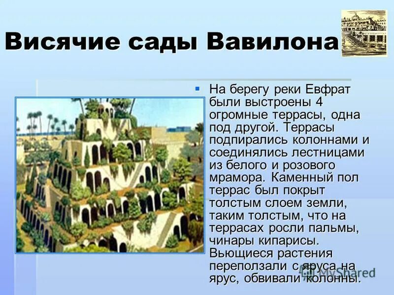 Висячие сады семирамиды семь чудес. Какое чудо света находилось в вавилоне. Какое чудо света находилось в вавилоне. Семь чудес света сады семирамиды. Висячие сады царицы семирамиды сейчас.