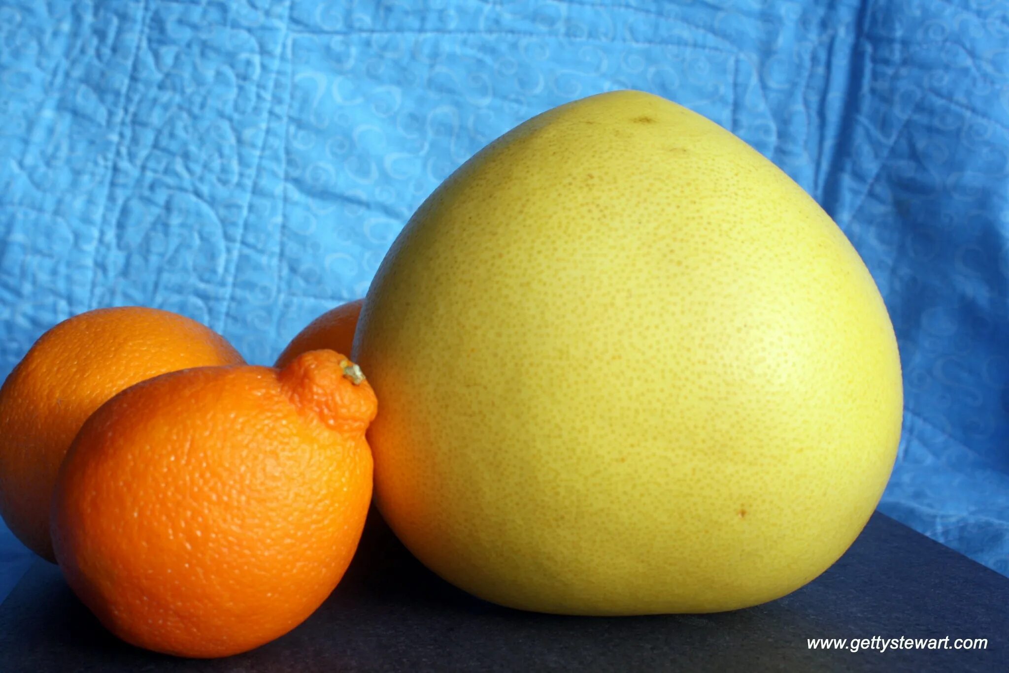 Что делают из помело. Honey pomelo фрукт. помело «khao phuang». памела цитрус. сорт хани помело.