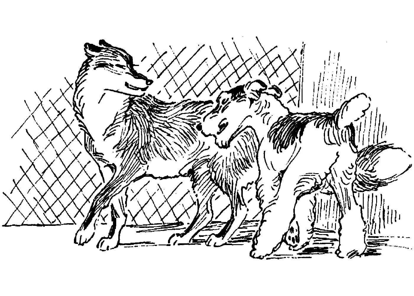 Волк и собака толстой. Иллюстрация к басне Крылова волк на псарне. Барбос и Жулька рисунок. Барбос и Жулька рисунок карандашом. Волк на псарне раскраска.