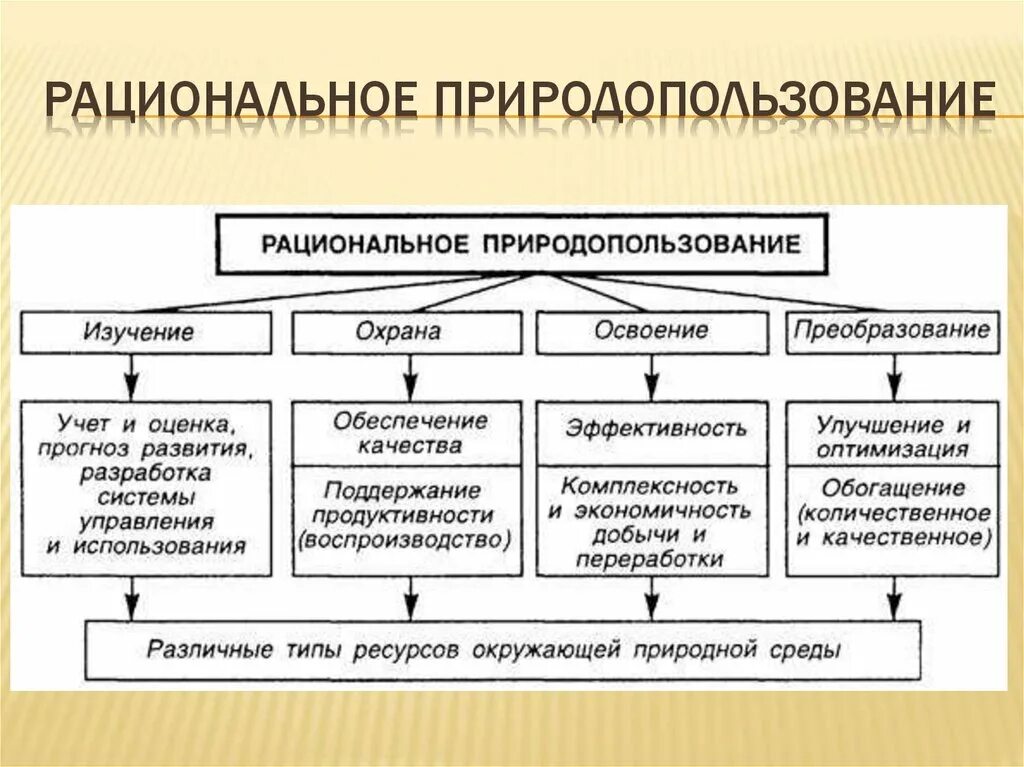 К природным ресурсам можно отнести. Принципы рационального природопользования таблица. Рациональное природопользование. Рационпльноеприродо использования. Рациональное природопользование примеры.