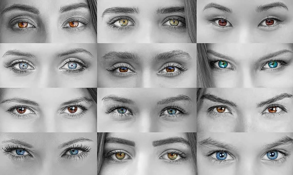 Расставить глаза. Формы женских глаз. Цвет глаз коллаж. Всевозможные цвета глаз. Женские глаза коллаж.
