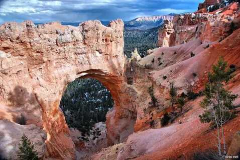 Natural wonders