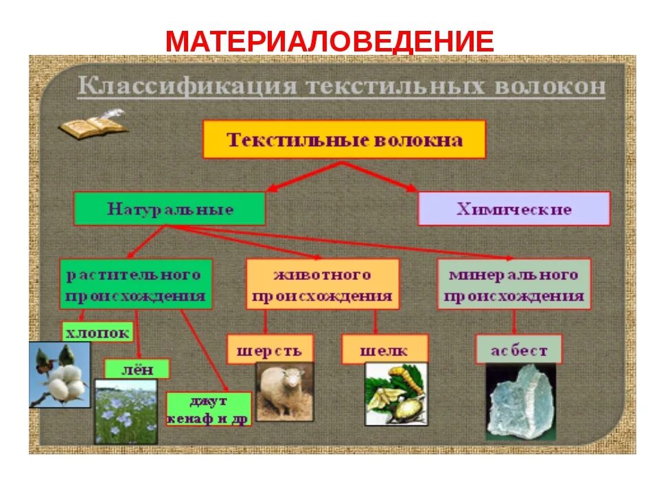 Производства натуральных волокон. Материаловедение классификация текстильных волокон. Текстильные материалы текстильные волокна. Текстильные волокна растительного производства. Материаловедение текстильных материалов.