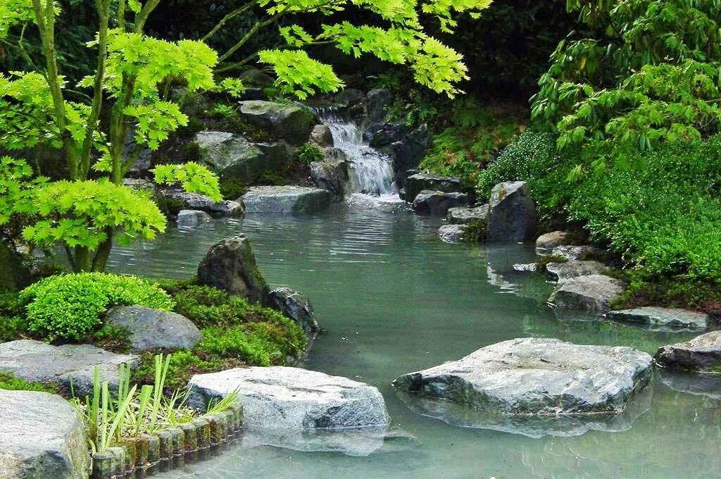 Японский пруд. Японский сад с прудом. Парк Горького японский сад. Японский пруд водопадик. Пруд в саду Япония.
