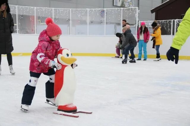 Ледовый каток Арена Кузнецк. Пингвин на катке. Пингвин на катке для детей. Пингвин для катка. Ледовый дети