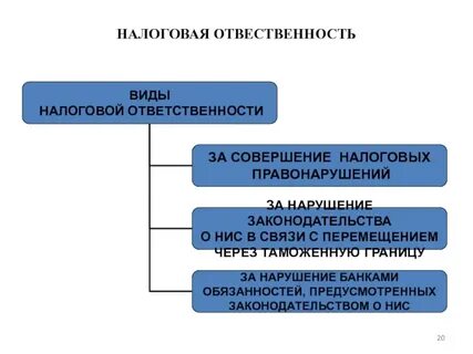 Юридическая ответственность налоговое право