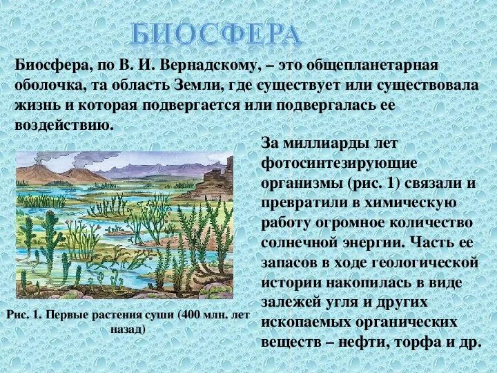 Что такое биосфера 5 класс кратко. Биосфера. структура биосферы земли. биосфера презентация. доклад по биосфере.