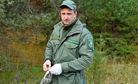 Зеленая лесника
