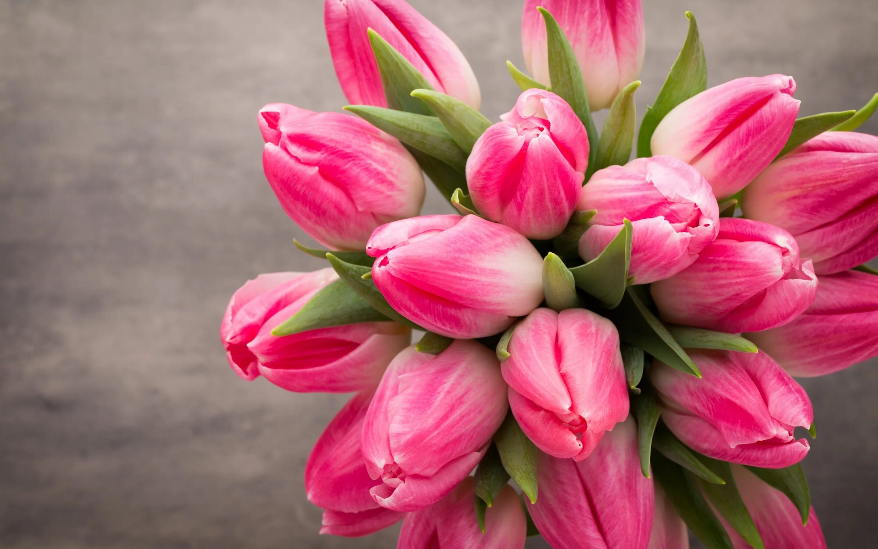 Покажи цветы тюльпаны. Тюльпан спринг сюрпрайс. Тюльпан Розали. Тюльпан Иннуэндо. Мелкоцветные тюльпаны.