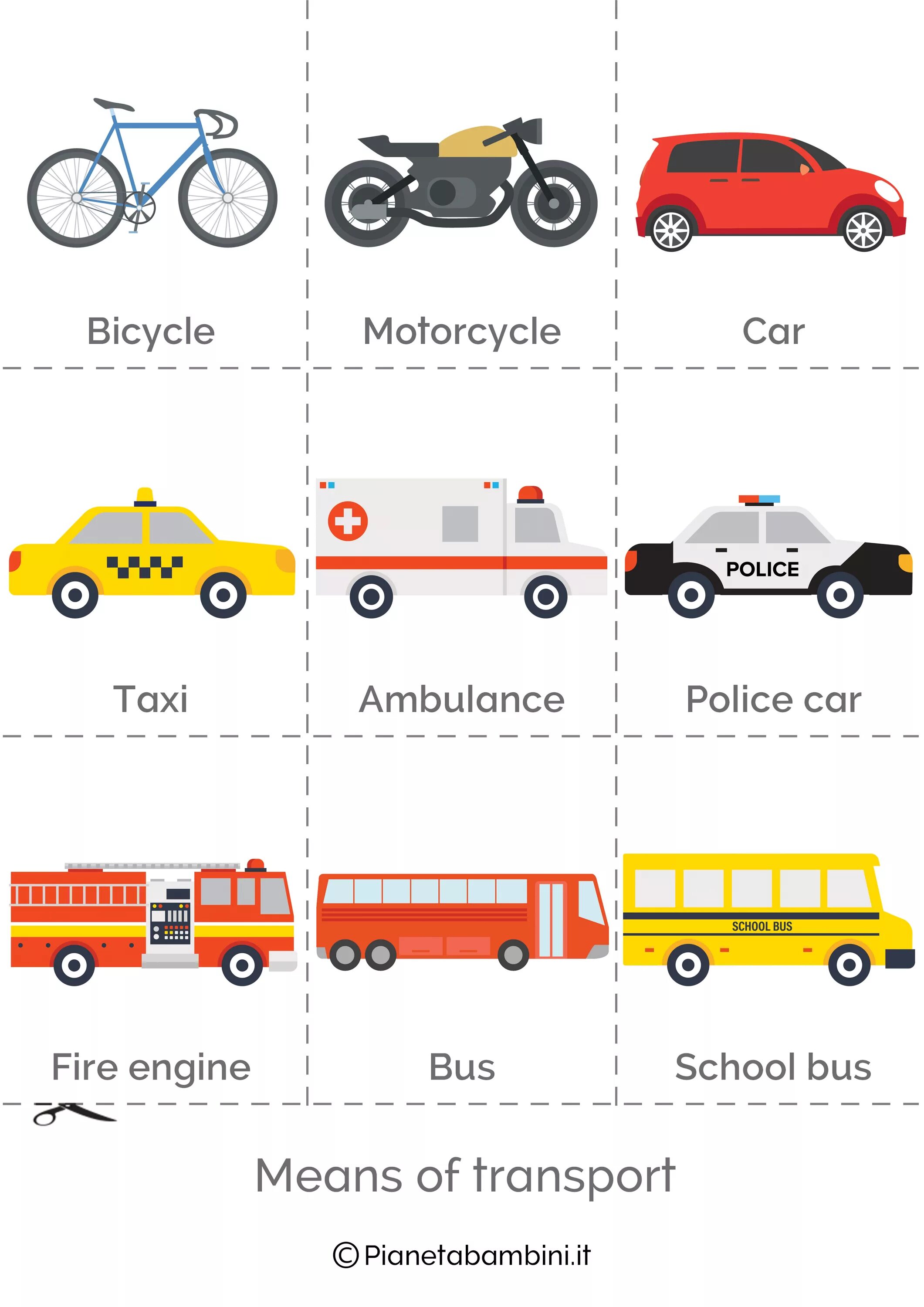 Different types of transport