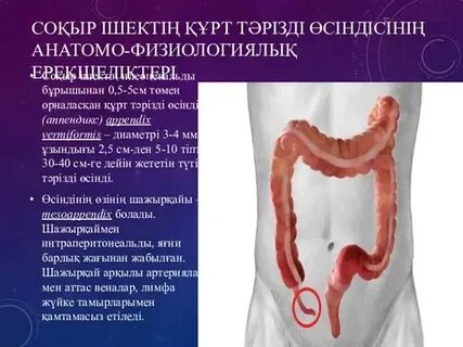 Ішектегі дилдоның фотосы