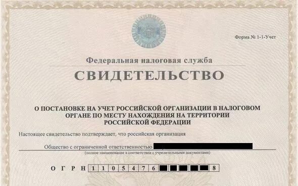 Как узнать кпп. Кпп индивидуального предпринимателя. огрн как выглядит. номер кпп ип. огрн расшифровка.