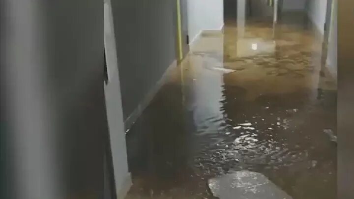 Ланцов сын петра 4 потоп