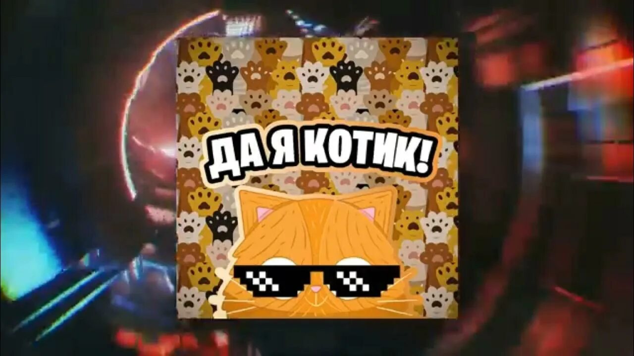 Игрушка симбочка. Симбочка пимбочка. Симбочка блоггер. Картинки Симбочки пимбочки. Симбочка кот на стиле.