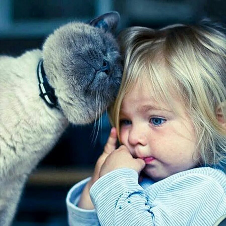 Не грусти котенок. Никита пидрила. Не обижайся фото. Не обижайся картинка. Не обижайся фото.