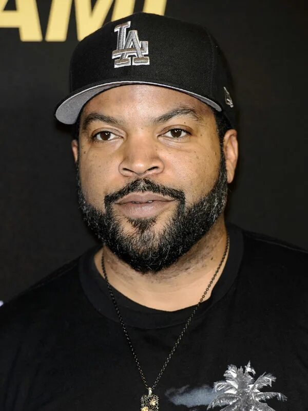 Missing ice cube. Айс кьюб. ice cube 2025. ice cube 90s. борода ice cube.