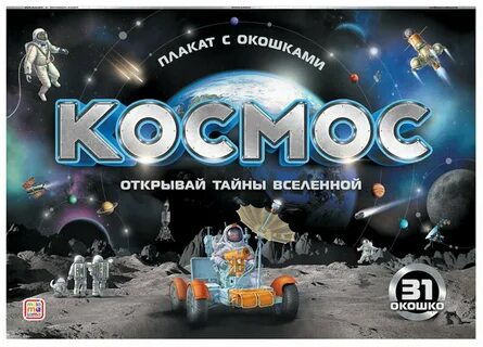 Космос 31