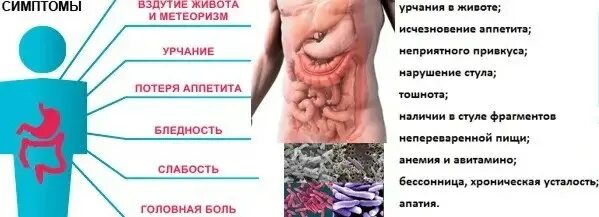 Что может. Кишечный дисбактериоз проявления. Дисбактериоз ЖКТ симптомы. Запор симптомы. Дисбактериоз кишечника симптомы.