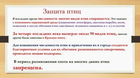 Защита птиц