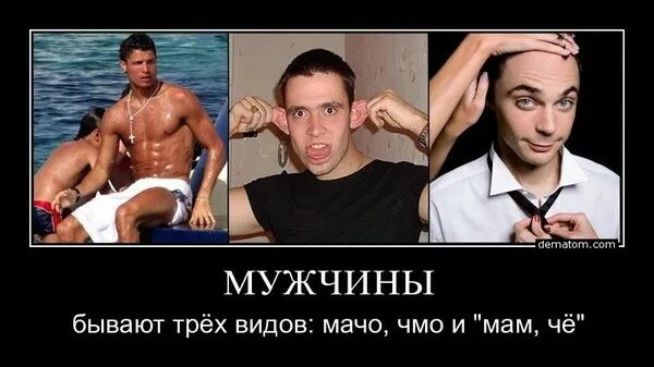 Парни бывают. Мужчины бывают трех видов. мачо чмо. парни бывают трех типов. я не чмо я мачо.