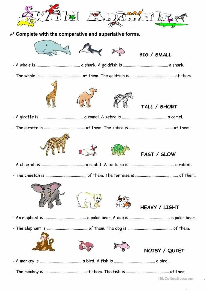 Compare animals. Степени сравнения Worksheets. Степени сравнения прилагательных в английском Worksheets. Сравнительная степень прилагательных в английском Worksheets. Сравнение прилагательных в английском Worksheets.