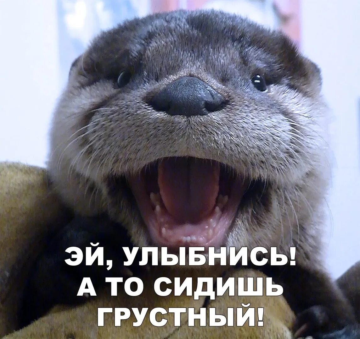 Ну ты улыбаешься