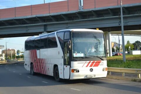 Автобус ступино ситне