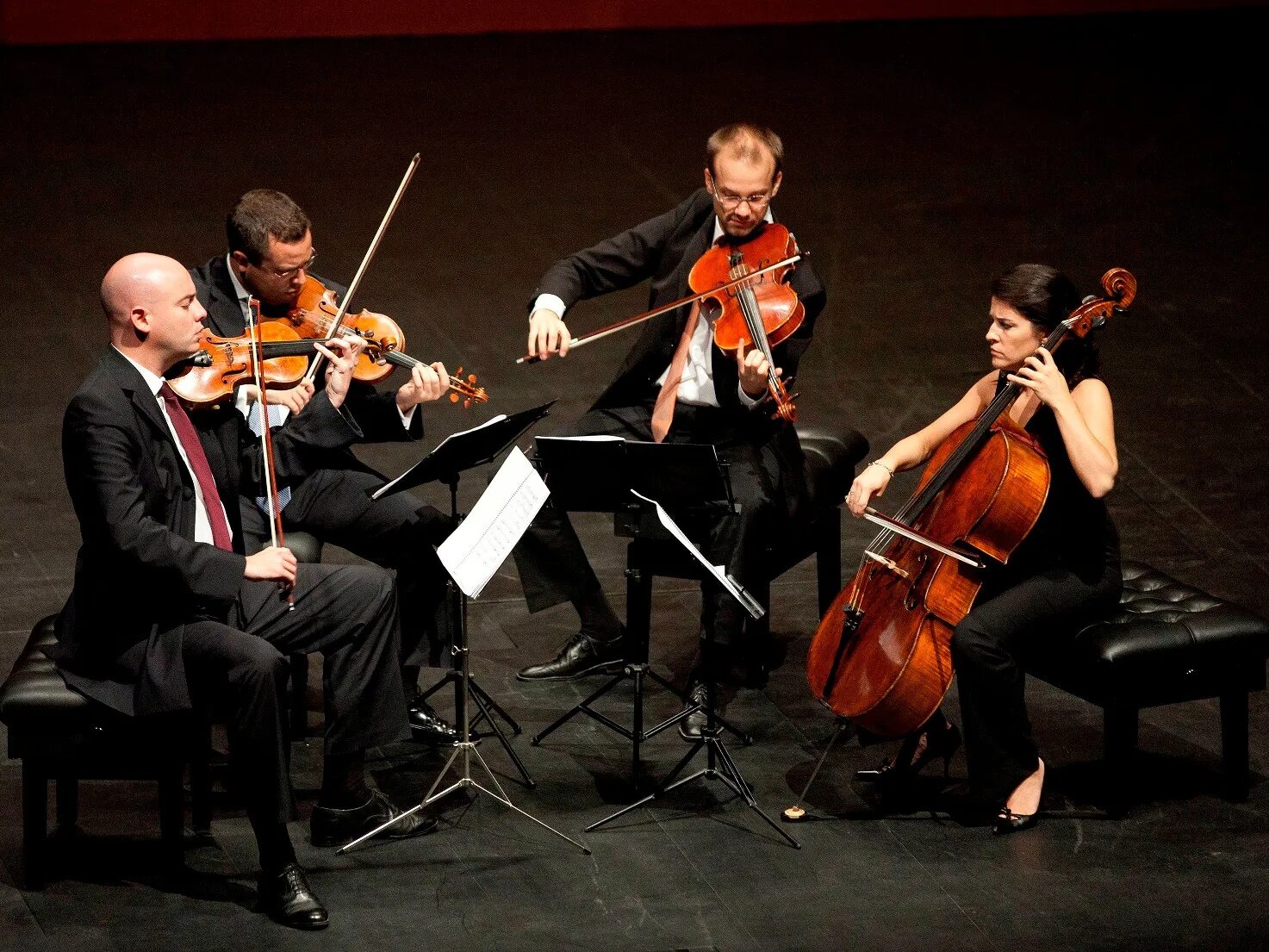 Струнный квартет адамант. Apocalyptica фото группы. Струнно смычковый квартет. Дуэт трио квартет квинтет. Как называется большой коллектив музыкантов.