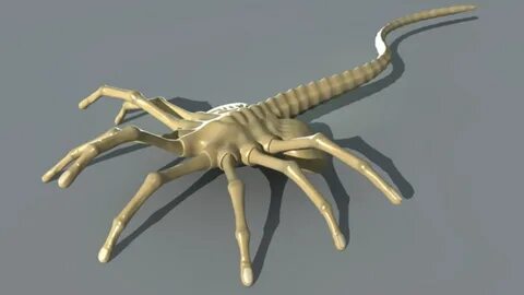 Facehugger
