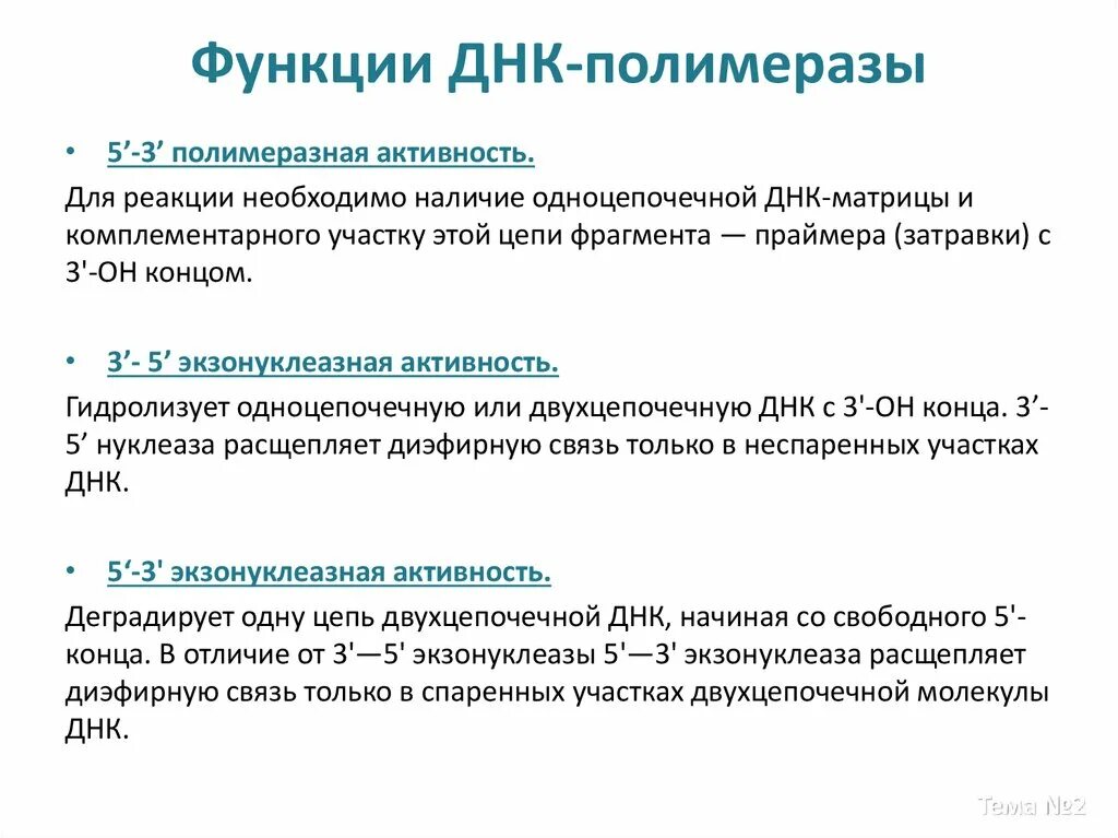 Осуществляется ферментом днк полимеразой. ДНК полимераза 3 функции. ДНК полимераза 1 функции. Ферментативная активность ДНК полимеразы. ДНК полимераза типы.