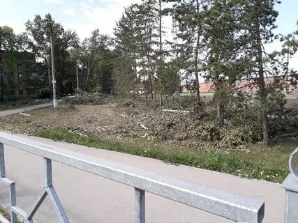 Черемушная бердск