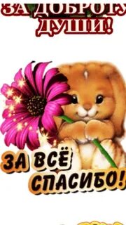 Thanks телефон
