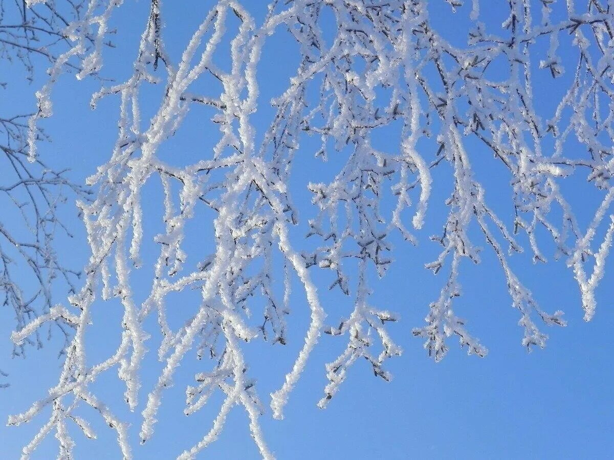 Распускается бахрома