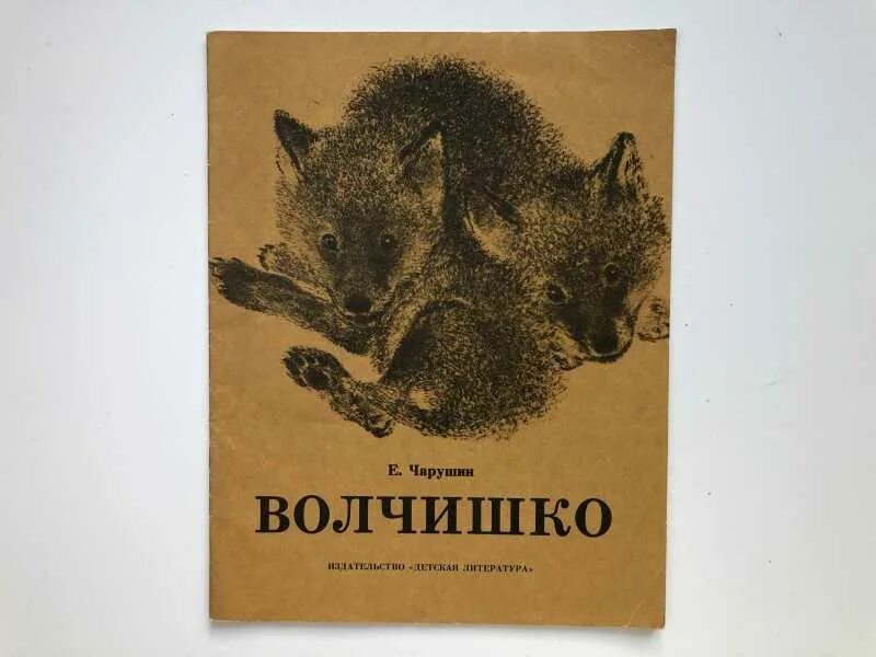 Иллюстрации к рассказу чарушина волчишко. Книга чарушина волчишко. Чарушин волчишко иллюстрации. Волчишко чарушин рисунок. Е чарушин волчишка.