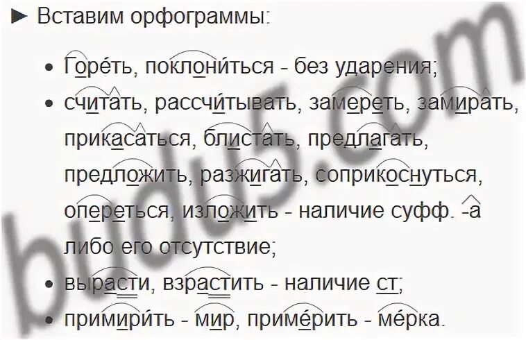 Русский язык 7 327