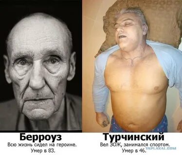 Качок умерший