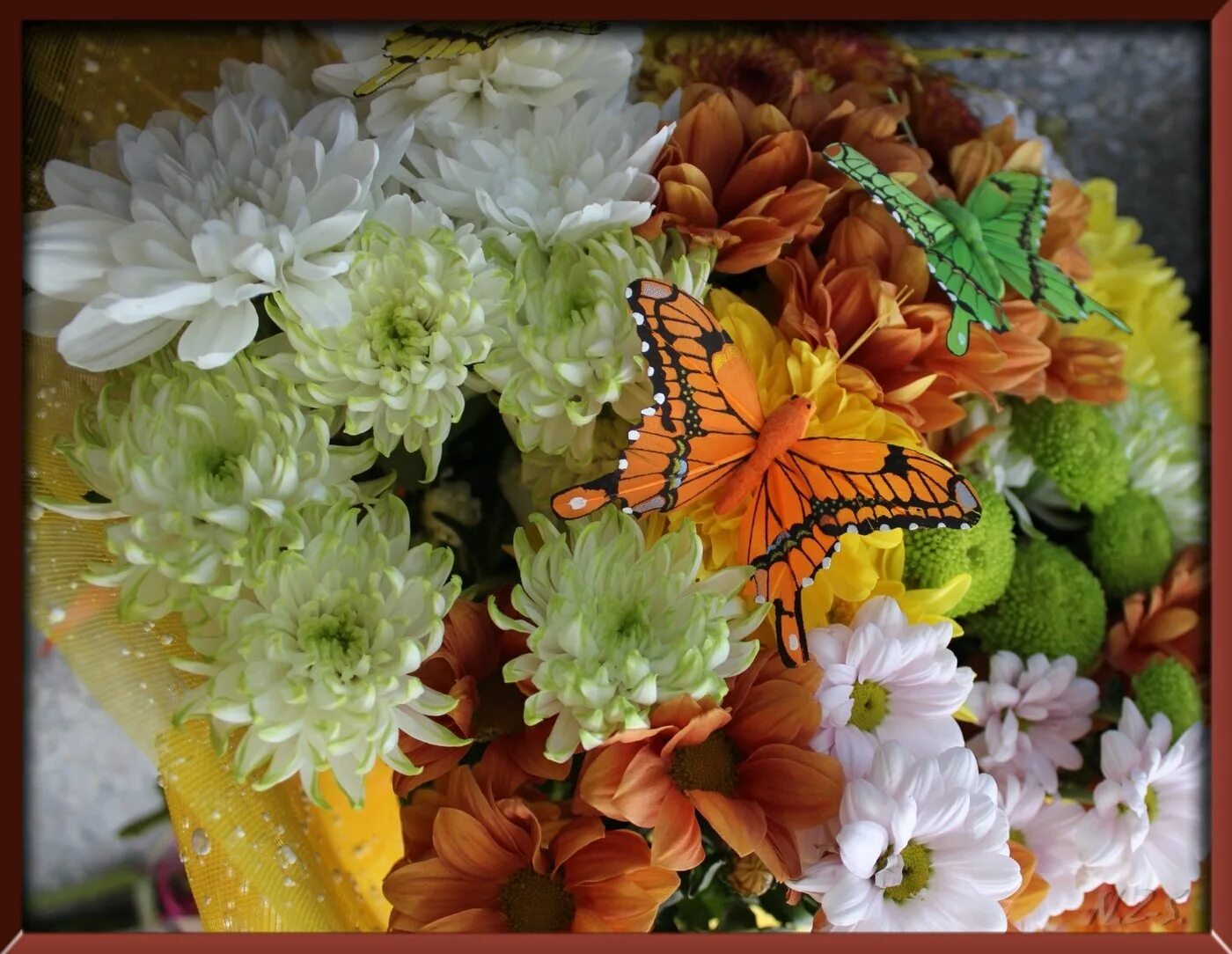 Букет из бабочек. Букет и бабочка. Букет из цветов и бабочек. Красивый букет цветов с бабочками. Бабочки и хризантемы.
