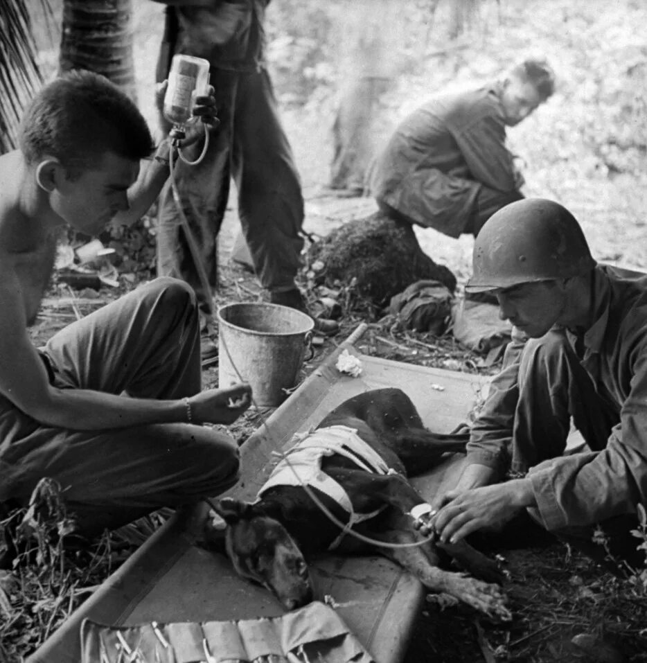 Жизнь во время войны. Бобров Солдатская сага. Раненые американские солдаты 1944. Раненые солдаты 2 мировая война.