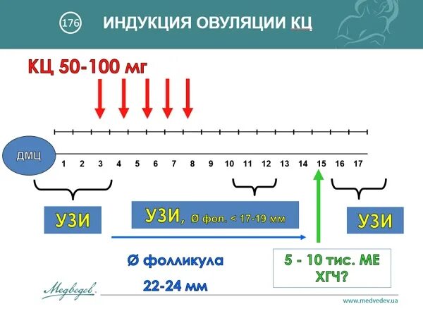 Схема стимуляции овуляции. Стимуляция овуляции протокол схема. Клостилбегит схема стимуляции овуляции. Протокол стимуляции овуляции клостилбегитом. Схема индукции овуляции клостилбегитом.