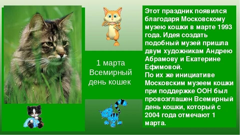 День кошек текст. День кошек открытки. Всемирный день кошек 8 августа. Международный день когнк. День кошек.