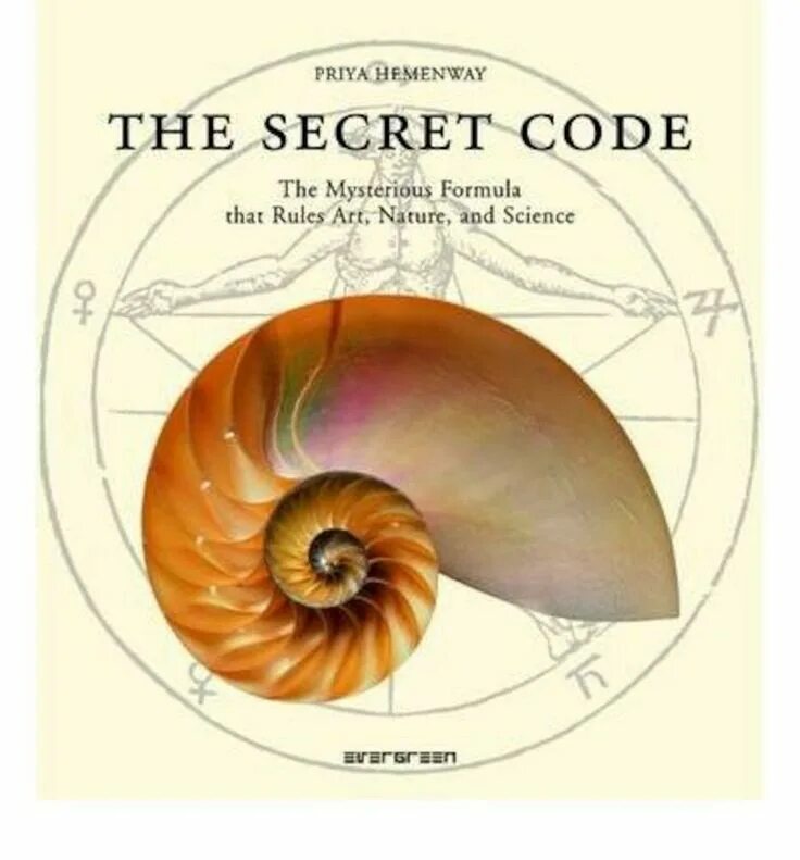 Книга код. Der geheime code книга. Taschen - the Secret code. Похожие книги тайный код.