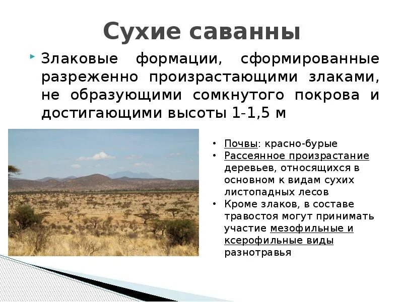 Сухие периоды. Красно бурые почвы сухих саванн. Сухие саванны. Сухие саванны растительность. Схема природного комплекса саванны.