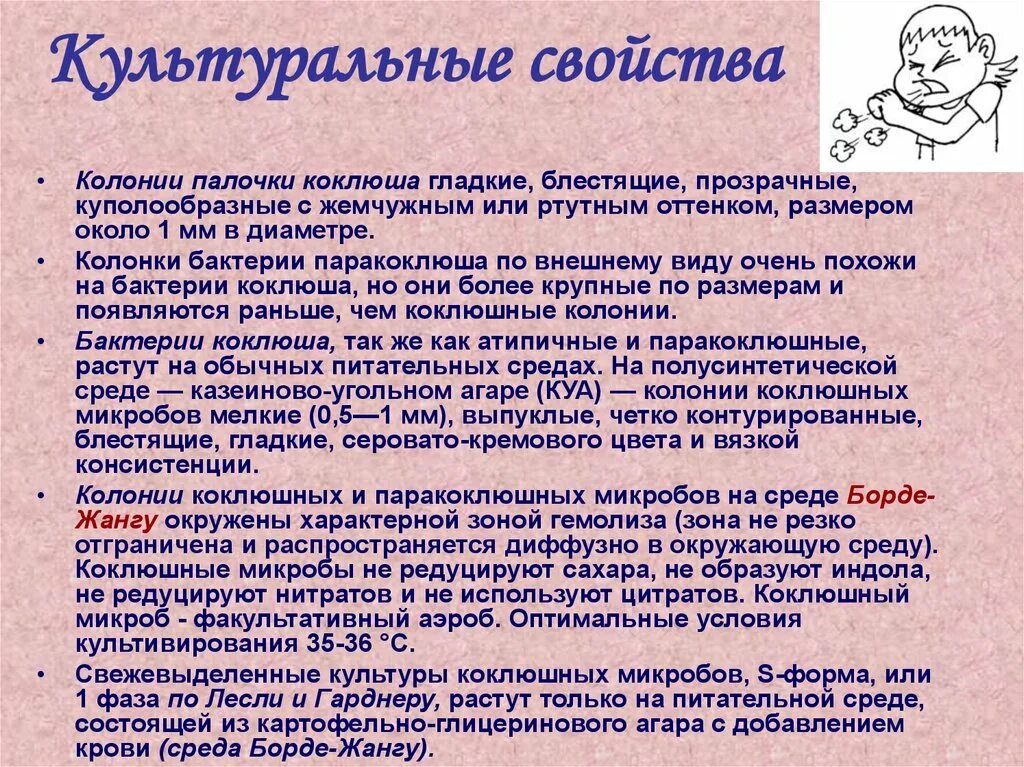 История коклюша. Свойства возбудителя коклюша. коклюш на среде. коклюш культуральные свойства.