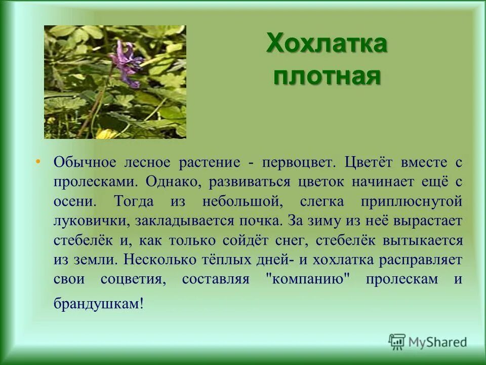 Весеннее пробуждение растений тест. Весеннее Пробуждение растений 2 класс перспектива презентация. Весеннее Пробуждение растений 2 класс перспектива. Весеннее Пробуждение растений 2 класс презентация.