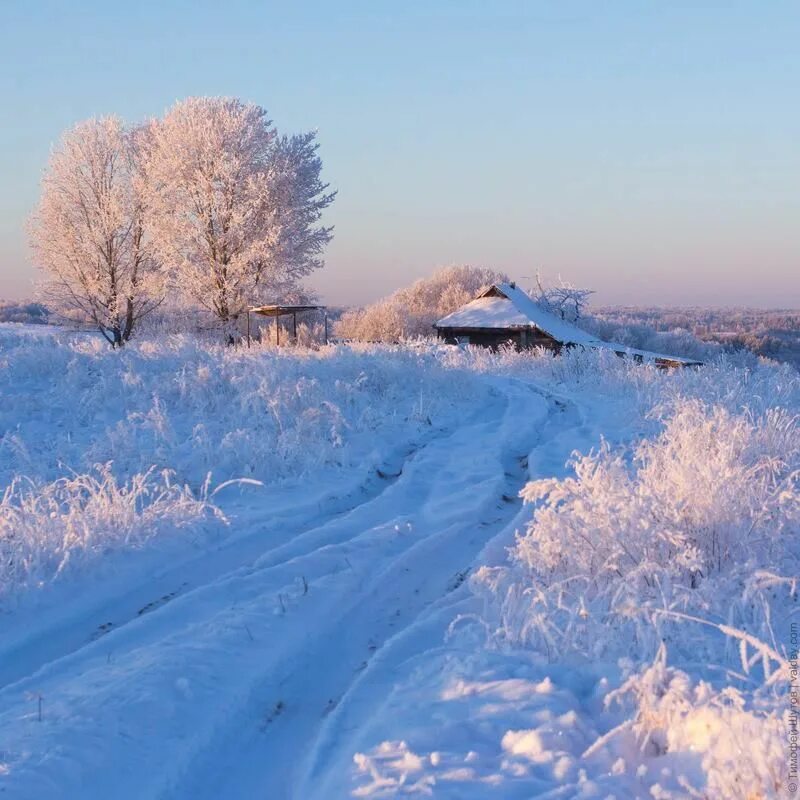 Зимний пейзаж. Декабрь природа. Зимнее утро. Зима солнце. Морозное утро.