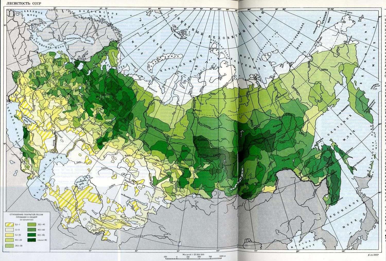 Растительная карта россии. Карта лесистости России. Карта лесистости России атлас. Карта лесистости территории России. Виды лесов в России карта.