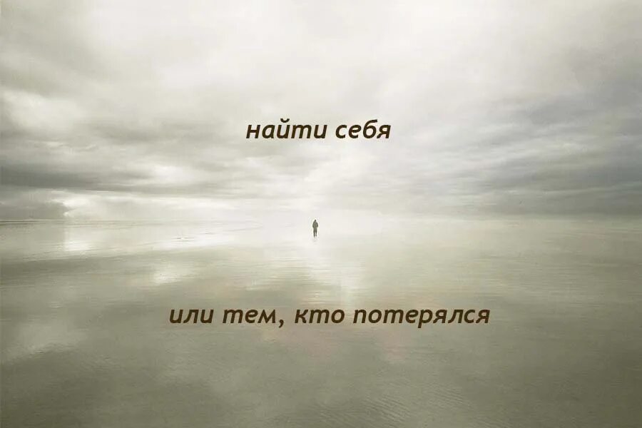 Кенозерье. Лес умиротворение. Тишина природы. Туманное утро. Природные просторы.