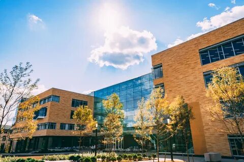 University of school of