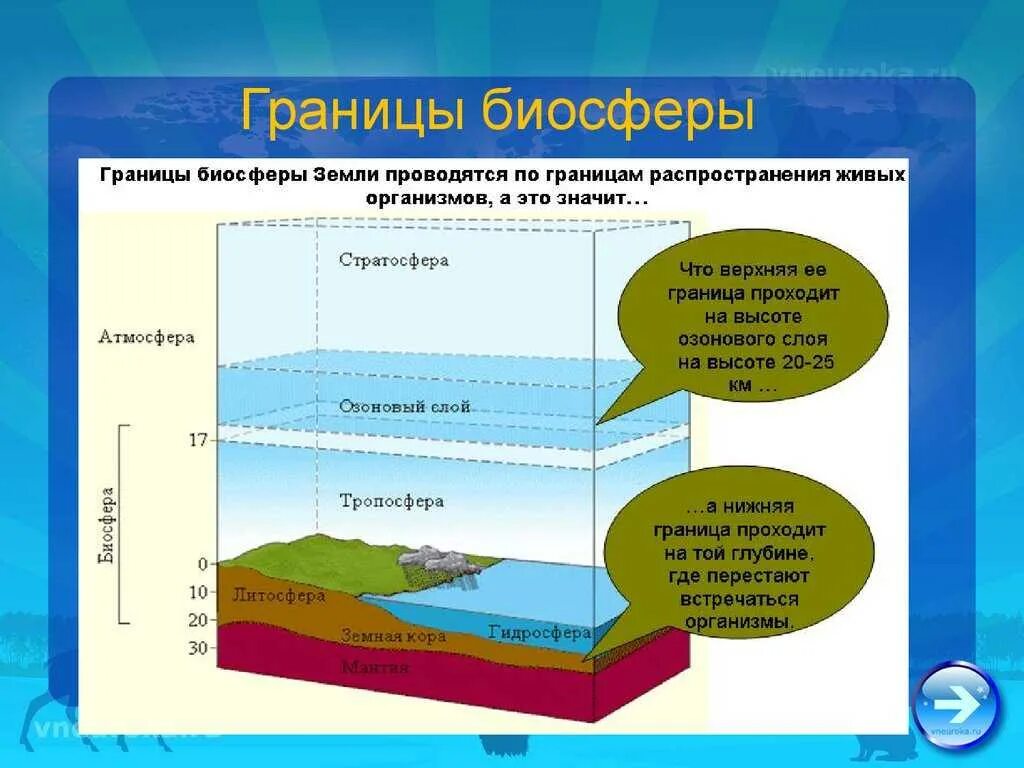 Слои земли Биосфера. Строение биосферы земли. Биосфера это область распространения жизни на земле. Структура и границы биосферы.